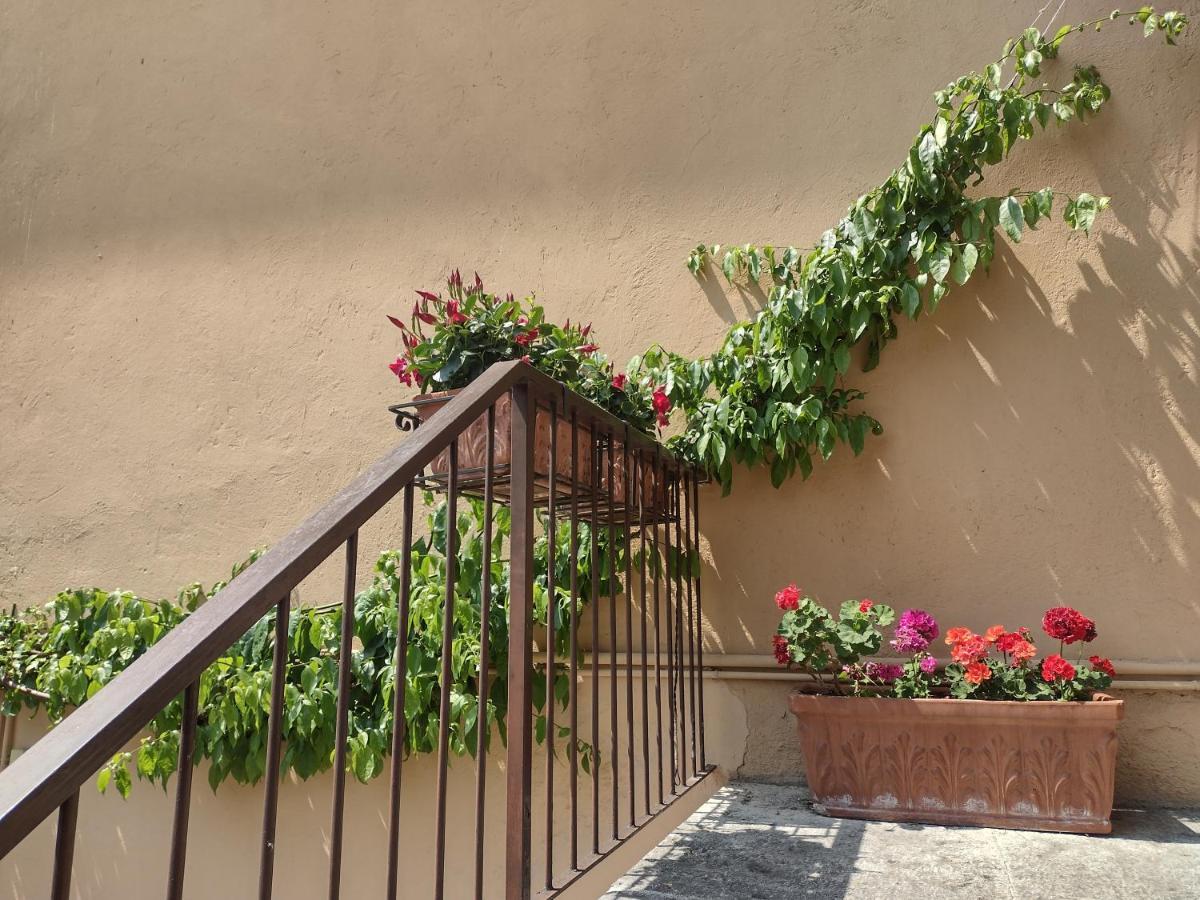 شقة Casa Gabri توسكولانو ماديرنو المظهر الخارجي الصورة